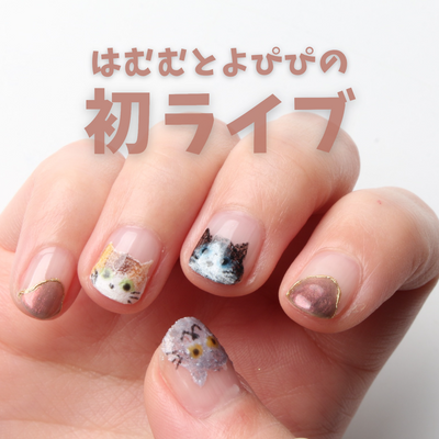 ハムムとよぴぴの初ライブ🐱