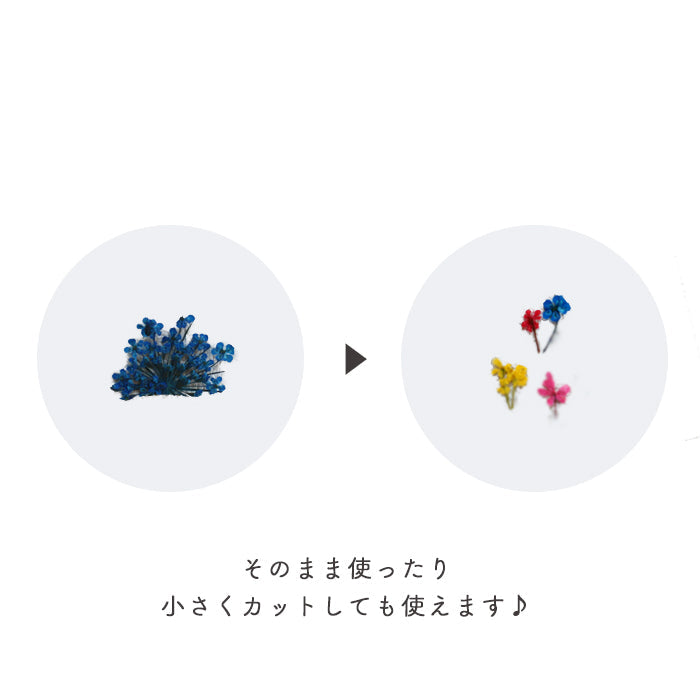 フロレットアソート petitprice