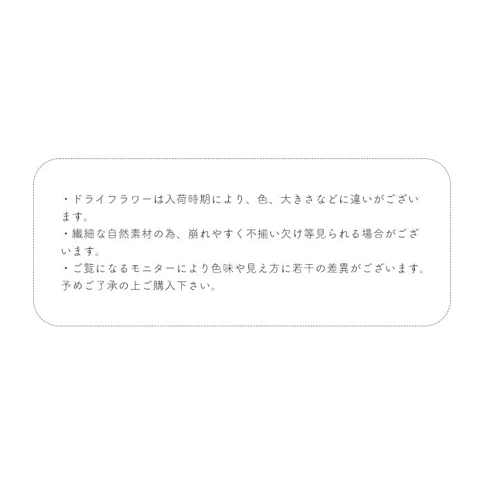 フロレットアソート petitprice