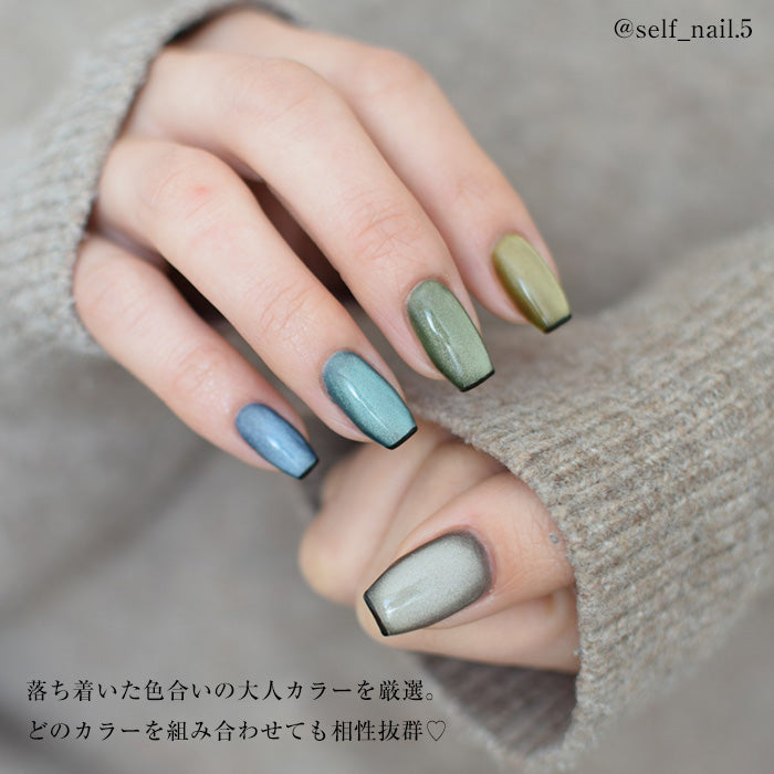 【全色セット】inbity ベルベッティマグネットジェル