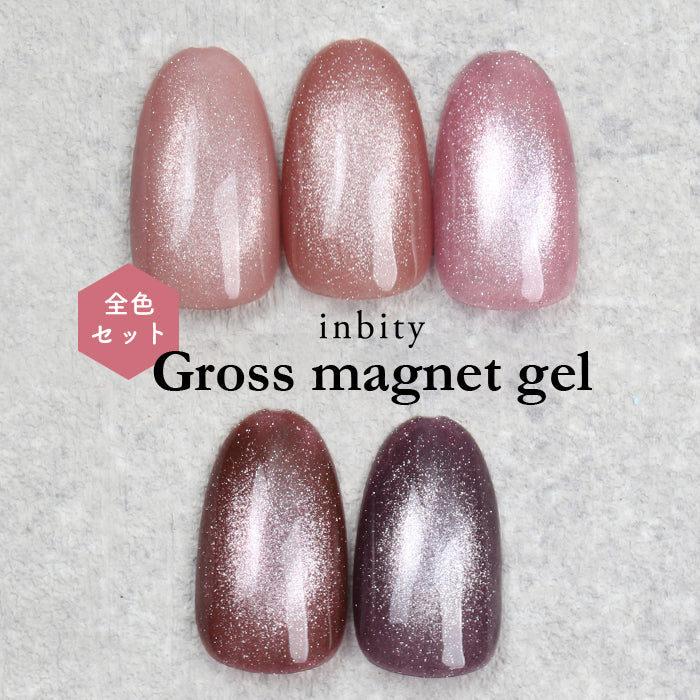 メール便 inbity グロスマグネットジェル 全色セット ジェルネイル
