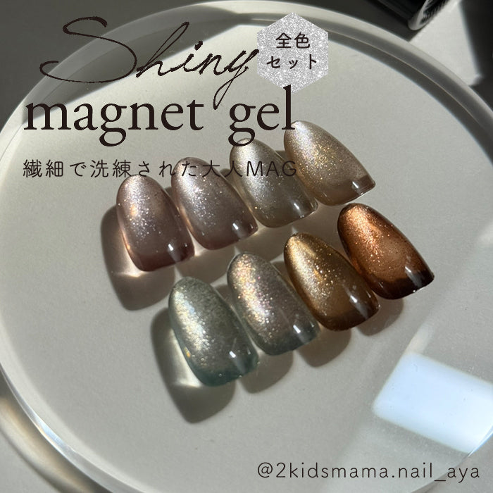 メール便 inbity シャイニーマグネットジェル ShinymagnetGel ジェル