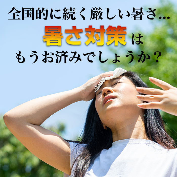 冷却プレート付きハンディファン