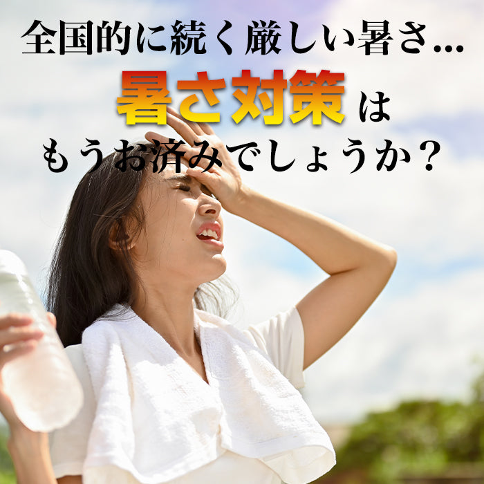 冷却プレート付多機能ハンディファン
