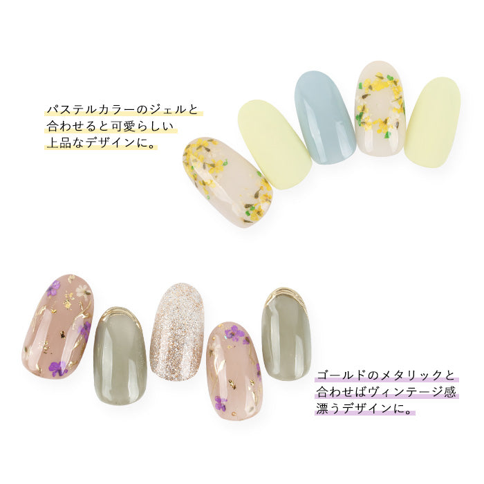 レースフラワー