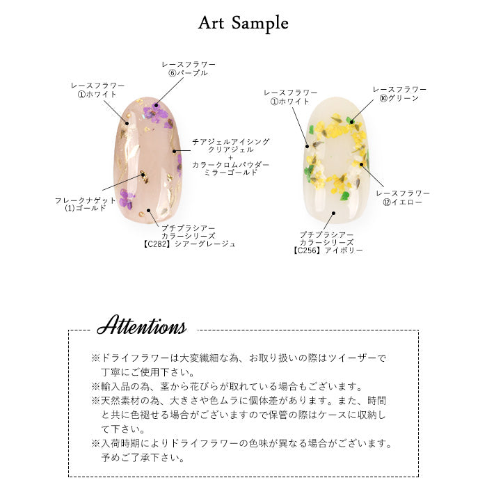 レースフラワー